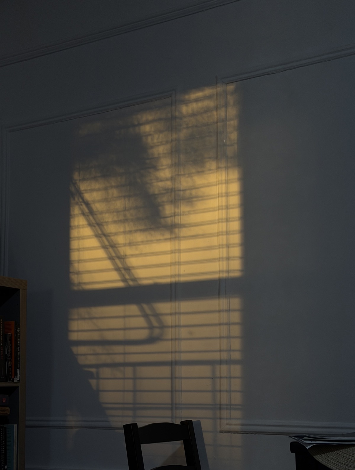 Late afternoon sunlight through window blinds, casting warm striped shadows across a pale wall